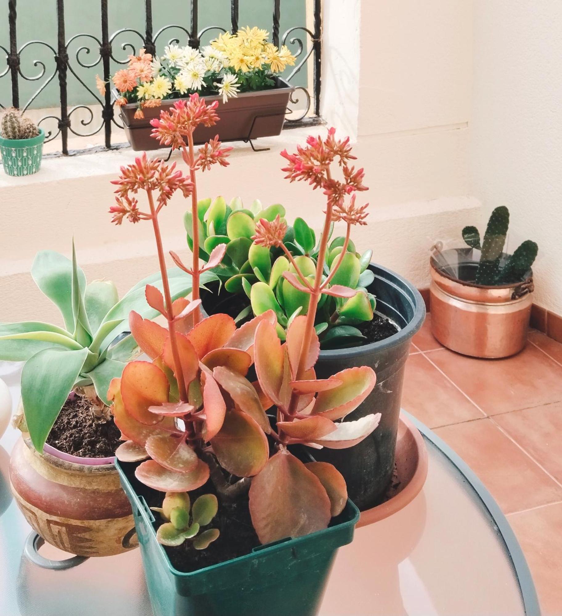 카르타헤나 La Casa De La Luz, Atico Con Terraza Privada, Parking Free 아파트 외부 사진